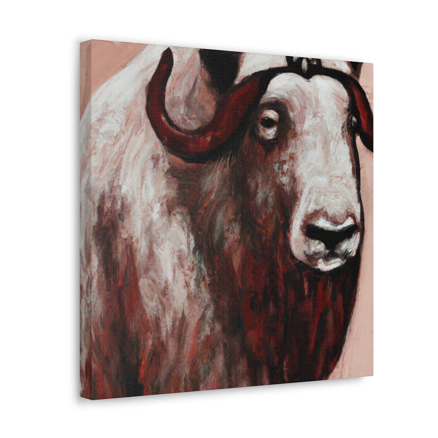 Musk Ox Splendor. - Canvas