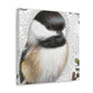 Black-Capped Chickadee Wonders - Canvas