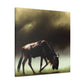 Wildebeest In Flux - Canvas