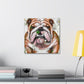 English Bulldog Bliss - Canvas