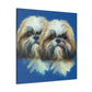 "Shih Tzu Hyperrealism" - Canvas