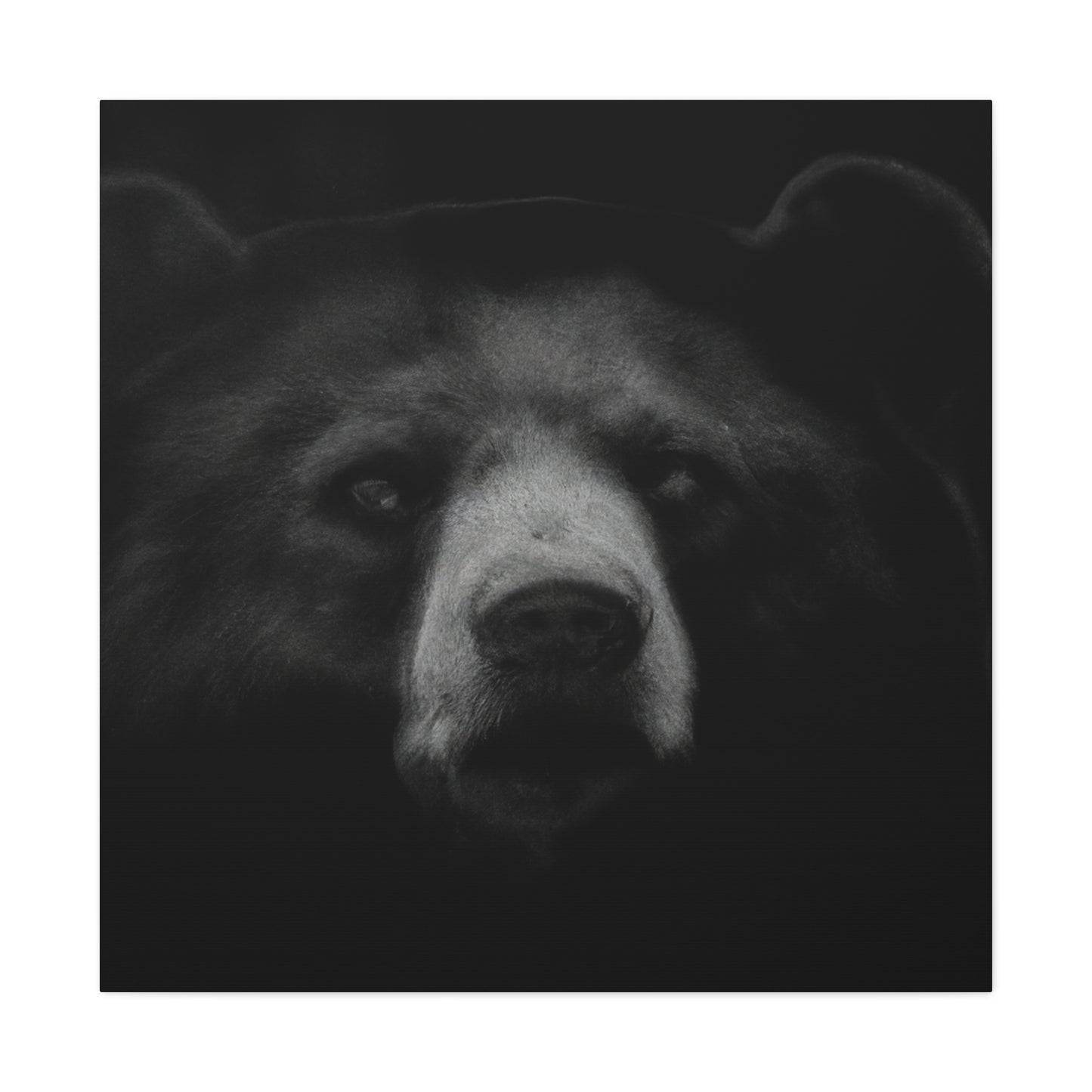 Asiatic Black Bear Gnos - Canvas