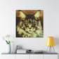 Maine Coon Majesty - Canvas