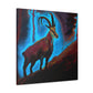 Chamois on Canvas - Canvas