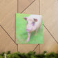 Pig With Pink Skin - Canvas