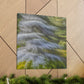 Cedar Tree Splendour - Canvas