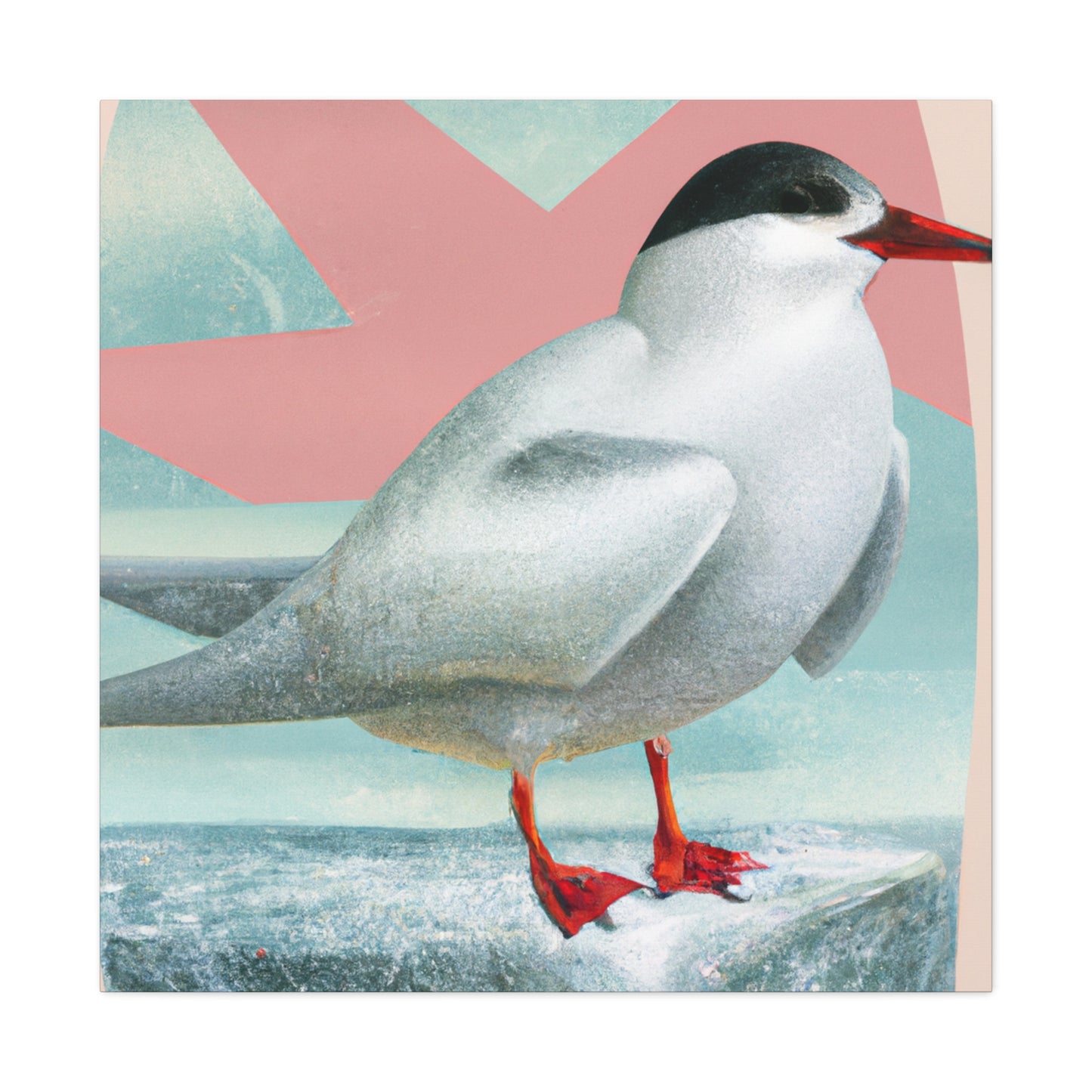 Arctic Tern Brilliance - Canvas