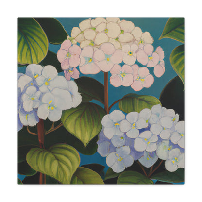 "Velvet Lace Hydrangea" - Canvas