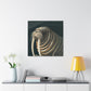 "Walrus in Moonlight Pose" - Canvas