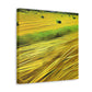 Sunlit Hay Field Dream - Canvas