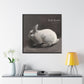 Rabbit in Realism - Canvas