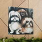 "Pekingese Gazing Wondrously" - Canvas