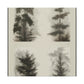 Pine Tree Enchantment - Canvas