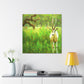 Gazelle in Impressionism - Canvas