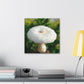 White Mushroom Brilliance - Canvas