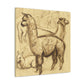 Alpaca Magnificence Abounds - Canvas