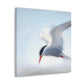 Terns in Arctic Snow - Canvas