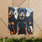 Powerful Rottweiler Pose - Canvas