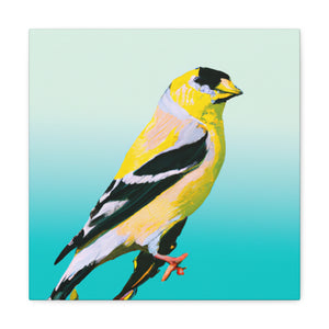 American Goldfinch Splendor - Canvas