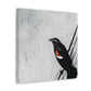 "Red Winged Blackbird Calls" - Canvas