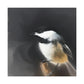 "Chickadee in the Spring". - Canvas