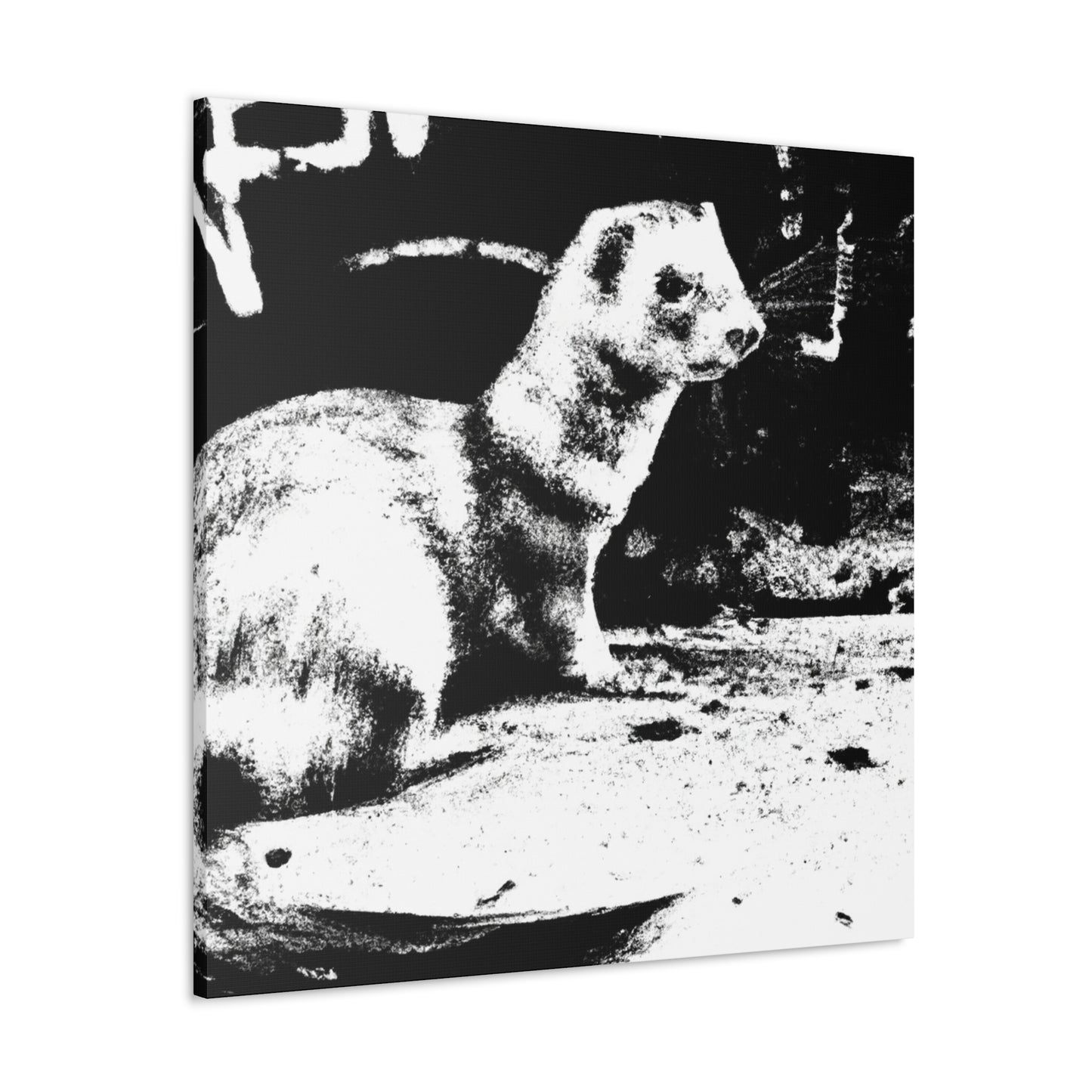 Ferrets on Canvas - Canvas