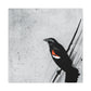 "Red Winged Blackbird Calls" - Canvas