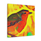 American Robin: Joy - Canvas