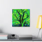 Beeches in Dreamscape - Canvas