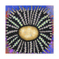 Sea Urchin Dreamscape - Canvas