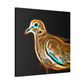 Mourning Dove in Flight - Canvas