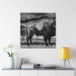 Bison on the Prairie - Canvas