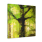 "Beech Tree, Serene Beauty" - Canvas