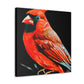 Northern Cardinal Splendor - Canvas