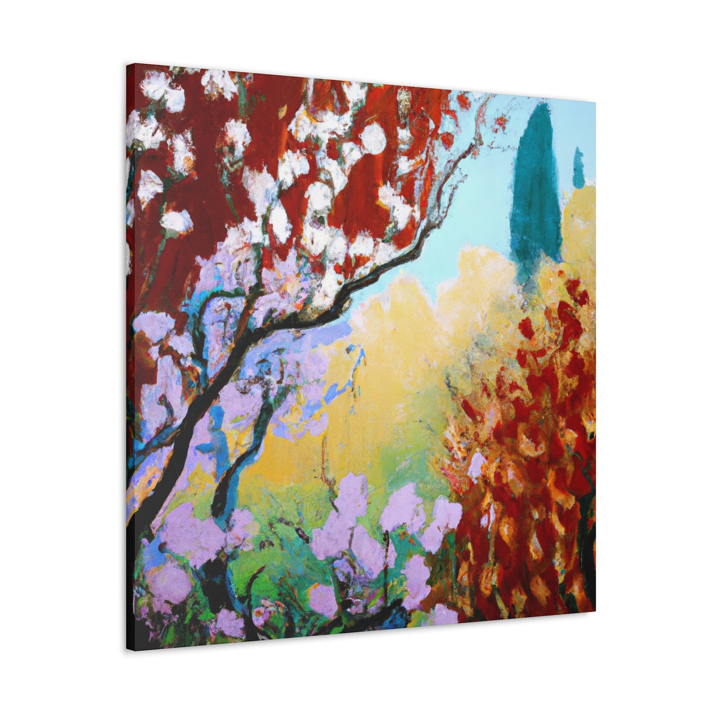 Cherry Blossoms Abloom - Canvas