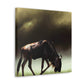 Wildebeest In Flux - Canvas