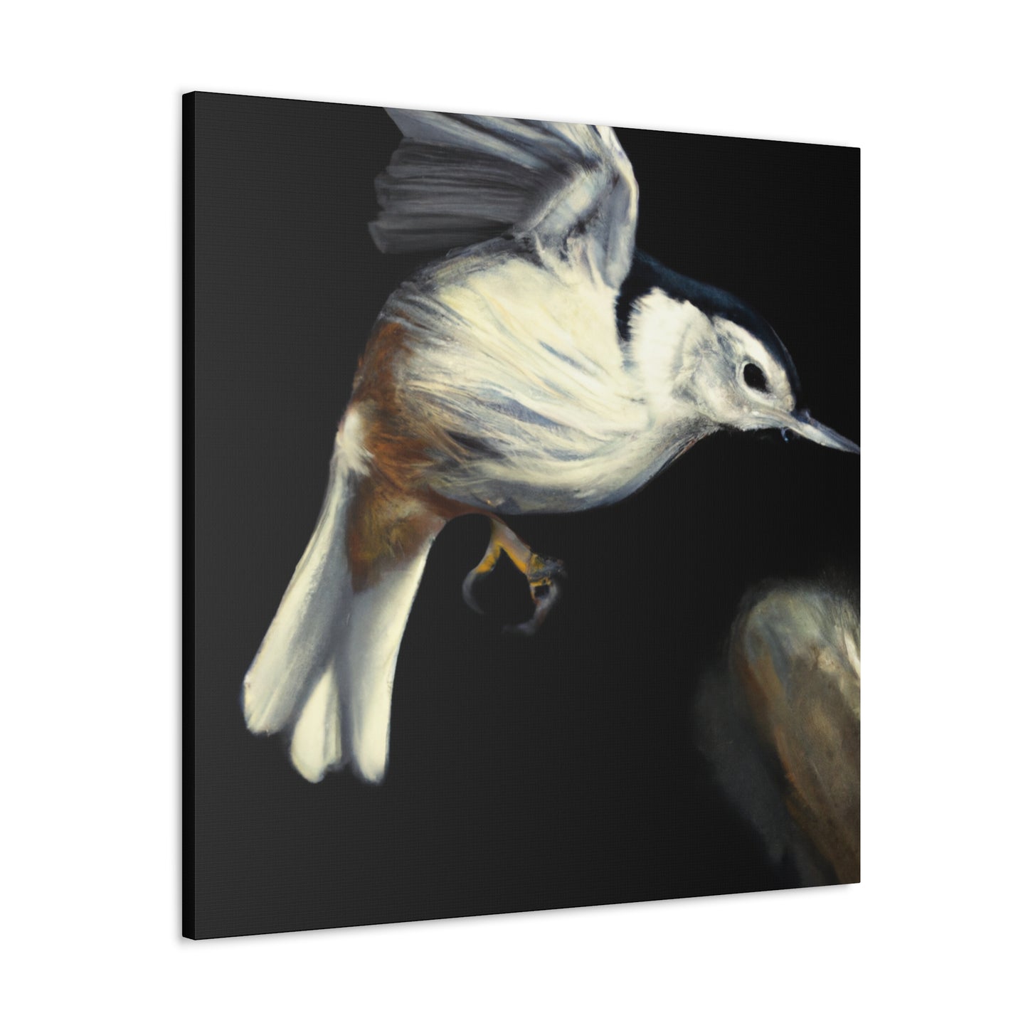 White-breasted Nuthatch Wonder - Canvas