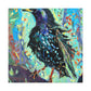 European Starling Impression - Canvas