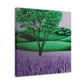 Lavender in Dreamland - Canvas