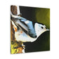 "White Breasted Nuthatch" - Canvas