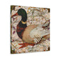 "Mallard Duck Splendor" - Canvas