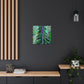 Douglas Fir Resilience - Canvas