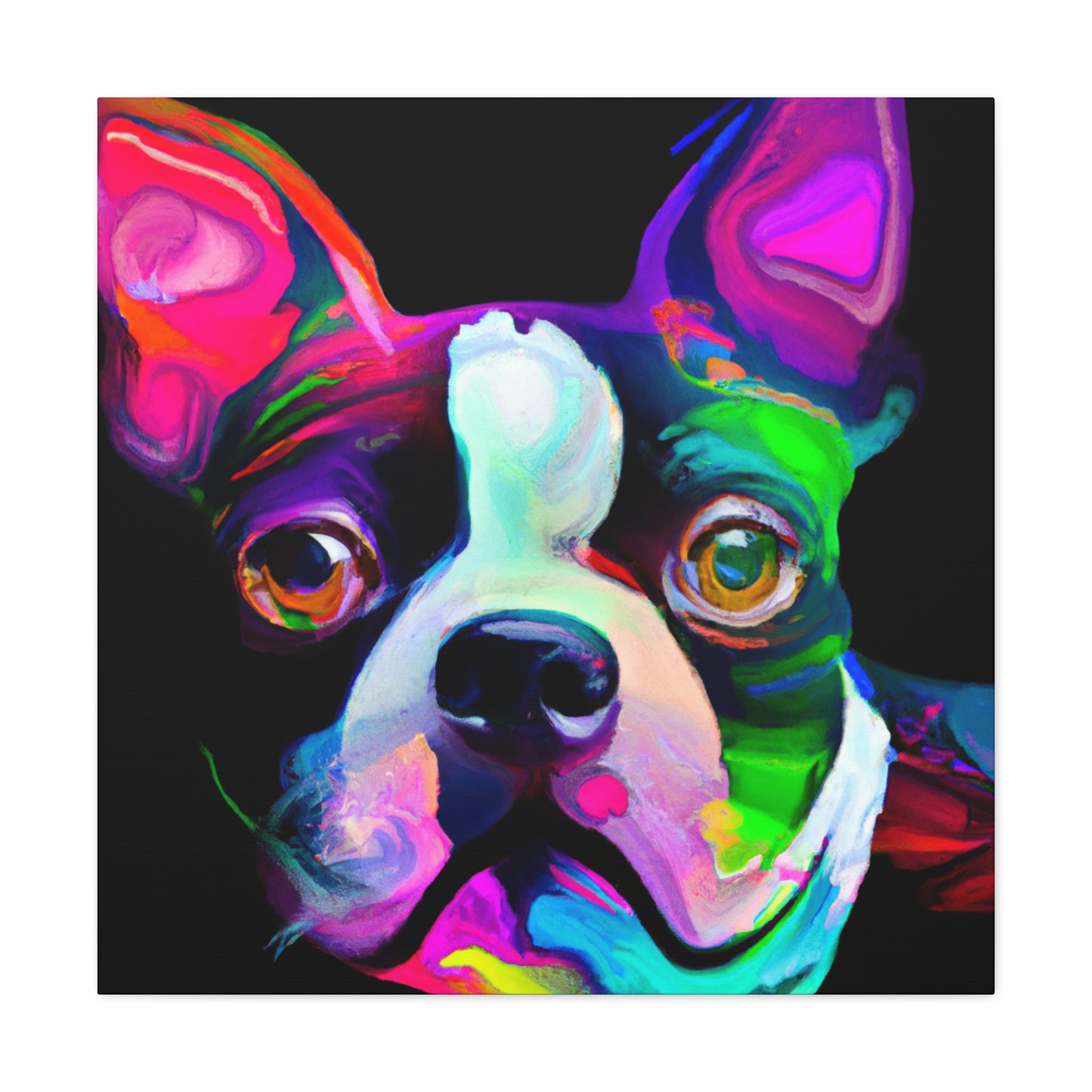 Adorable Boston Terrier - Canvas