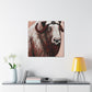 Musk Ox Splendor. - Canvas