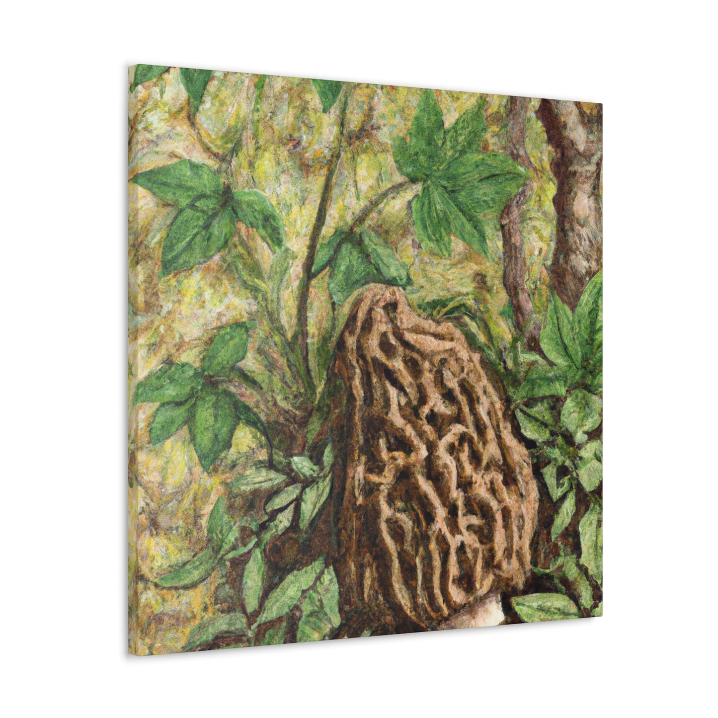 Morel in Splendour. - Canvas