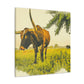 Lone Star Longhorns - Canvas