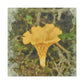 Chanterelle Impressionism - Canvas