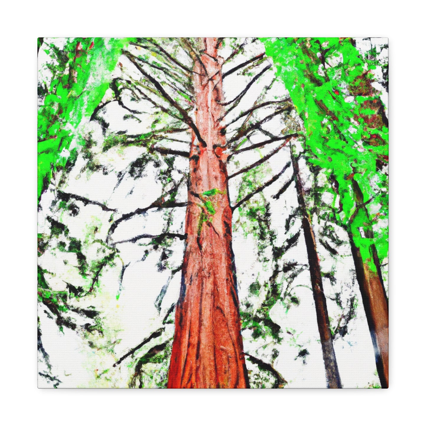 Redwood's Dreamscape - Canvas