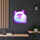 Ragdoll in Motion - Canvas