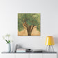 Elm Tree in Deco - Canvas